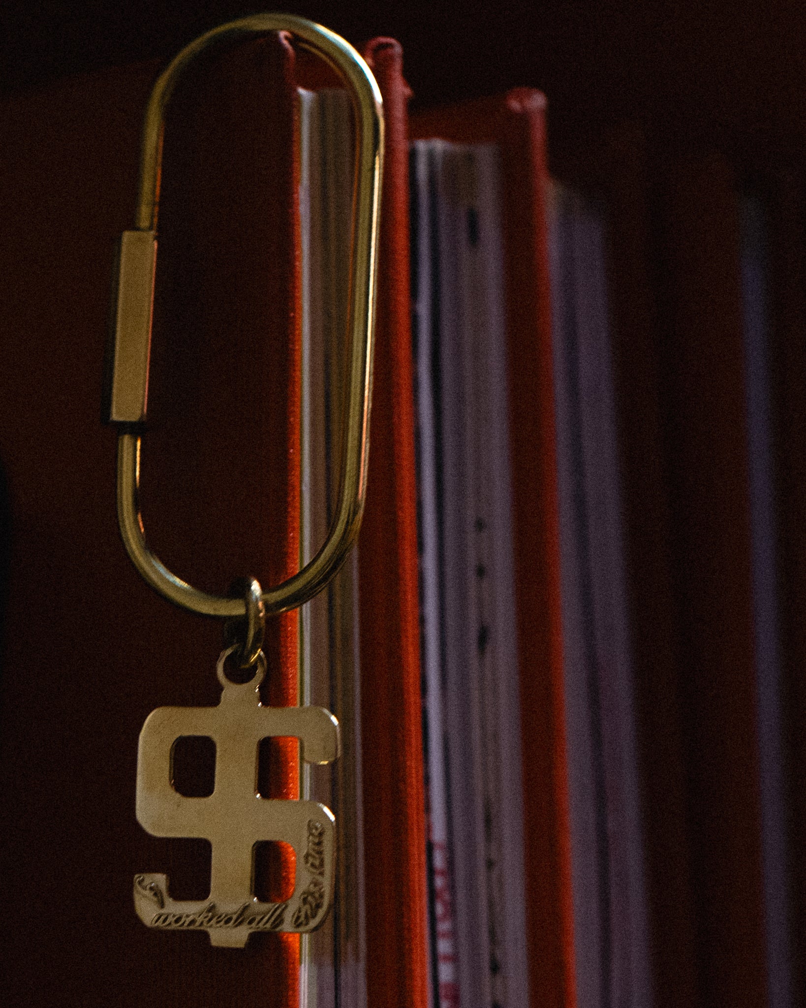 Dollar Sign Keychain
